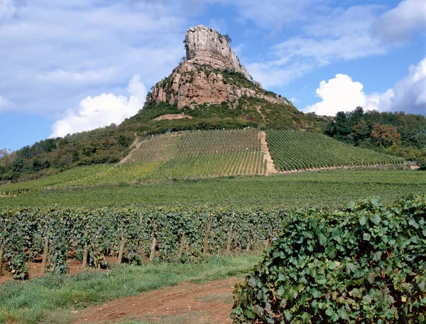 Roca Solutre Con Los Viñedos Pouilly Fuisse Borgoña Francia Europa —  Fotos de Stock