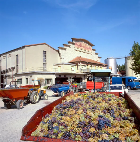 法国的葡萄收获季节 农民们用拖拉机把葡萄运到葡萄酒合作社 洞穴合作社 — 图库照片