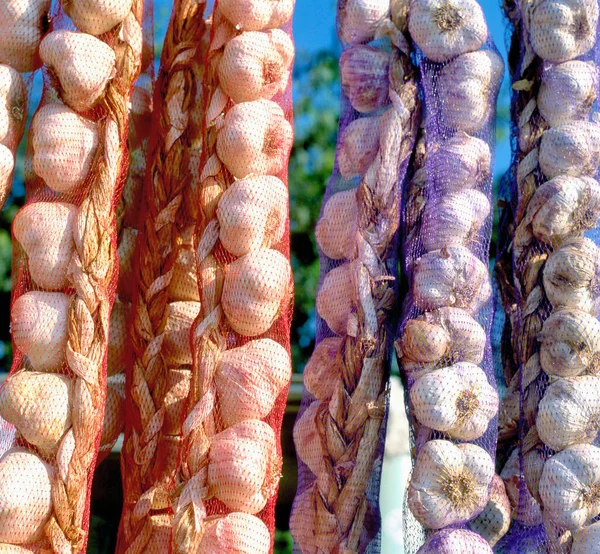 Garlic Sale Farmers Market Provence France Europe — Stock Photo, Image