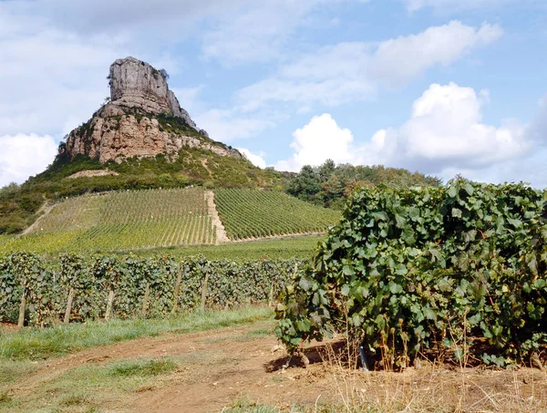 Roca Solutre Con Los Viñedos Pouilly Fuisse Borgoña Francia Europa —  Fotos de Stock