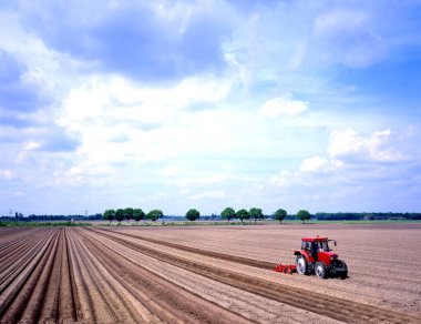 Hollanda 'daki kırmızı traktör tarlası.