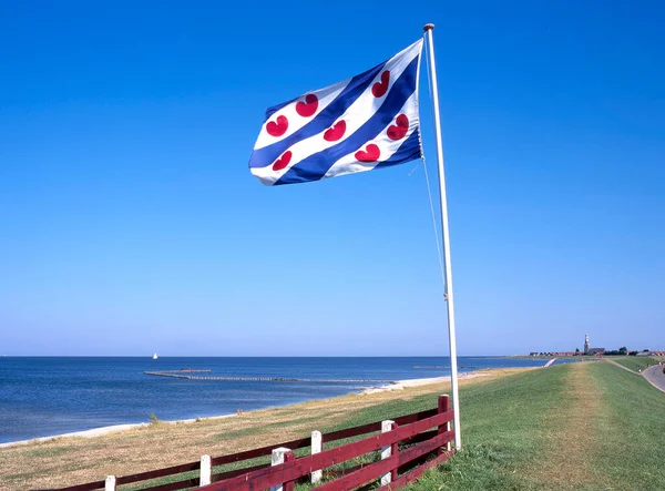 Побережье Эйсселланда Флагом Фрисландии Шхуне Хинделопен Фрисланд Нидерланды — стоковое фото