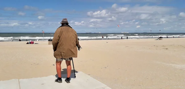 Старик Пальто Коротких Штанах Шляпе Трости Смотрит Море Пляже Голландии — стоковое фото