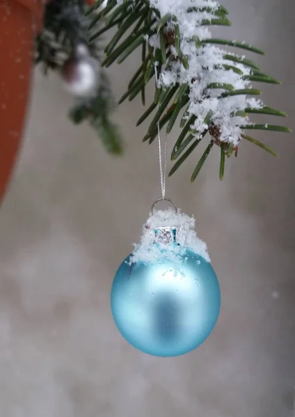 Bola Azul Navidad Ramita Picea Nevada — Foto de Stock