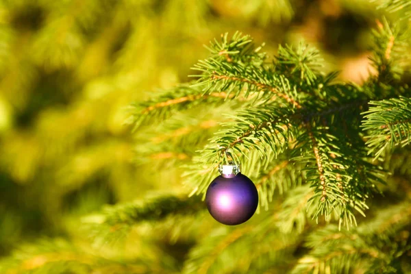 Small Purple Ball Outdoor Christmas Tree — Stock Photo, Image