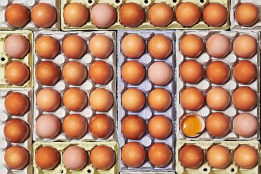 Bir sürü kahverengi yumurta ve benzersiz bir yumurta bir yumurta kartonları üzerinde kırık.