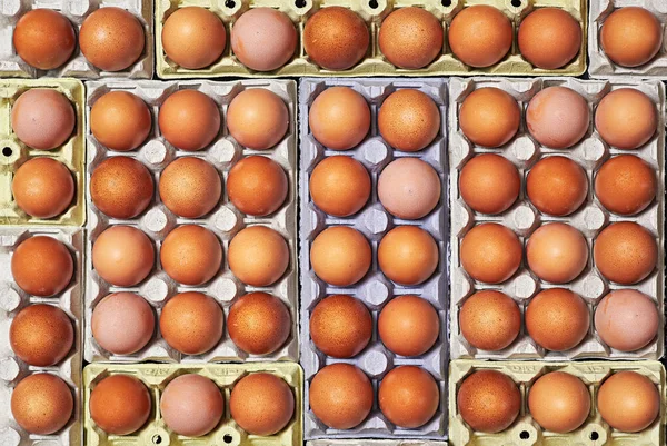Viele Braune Eier Über Einem Eierkarton Verschiedenen Farben — Stockfoto