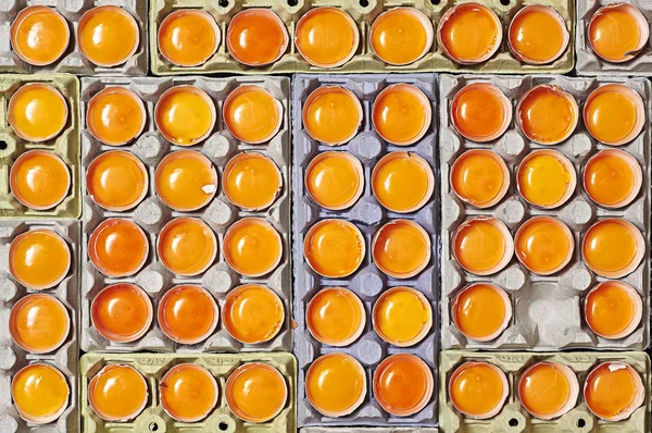 Viel Orangefarbenes Eigelb Und Einzigartige Leerstelle Über Einem Eierkarton — Stockfoto