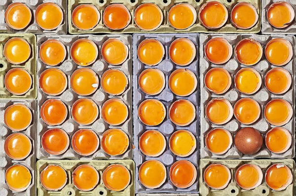 Una Gran Cantidad Yemas Huevo Naranja Huevo Único Sin Romper — Foto de Stock
