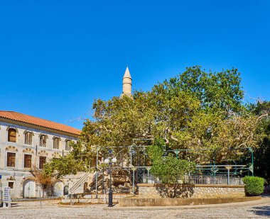 Hipokrat Ağacı, bir çınarın altında Hipokrat Kos öğrencileri tıp sanatını öğretti. Gazi Hasan Paşa Camii üzerinde 21 Temmuz 2017 vurdu deprem hasar arka planda. Platane Meydanı, Kos. Güney Ege, Yunanistan