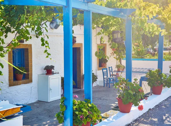 Eine Typische Veranda Eines Griechischen Hauses Die Mit Weinreben Bedeckt — Stockfoto