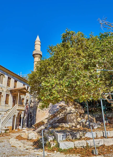 Hipokrat Ağacı Gazi Hasan Paşa Camii Içinde Geçmiş Temmuz 2017 — Stok fotoğraf