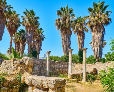 İstanköy Ancient Agora, liman Bazilikası kalıntıları. Güney Ege Bölgesi, Yunanistan.