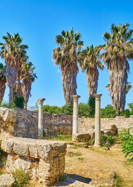 İstanköy Ancient Agora, liman Bazilikası kalıntıları. Güney Ege Bölgesi, Yunanistan.
