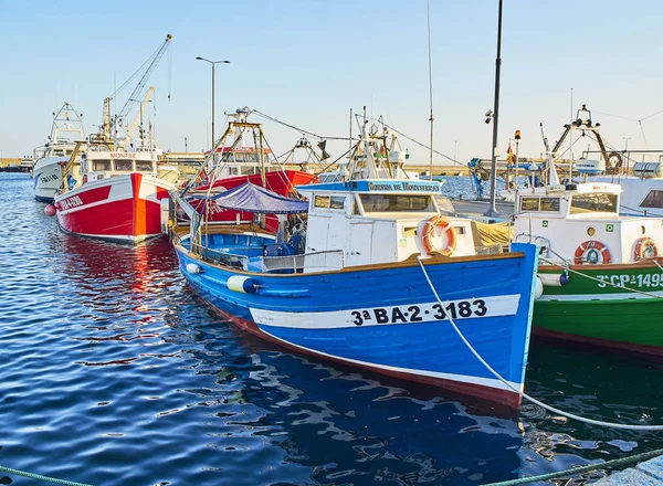 Palamos Spain July 2017 Typical Mediterranean Boats Moored Fishing Harbor — Stock Photo, Image