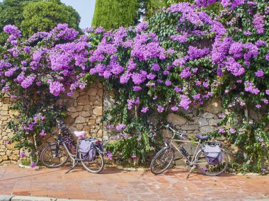 Calella de Palafrugell, İspanya - 15 Eylül 2018. Eski bir taş duvara bir Avrupa şehir merkezinde çiçeklerle süslenmiş ile eyer çanta Vintage Bisiklet Park.