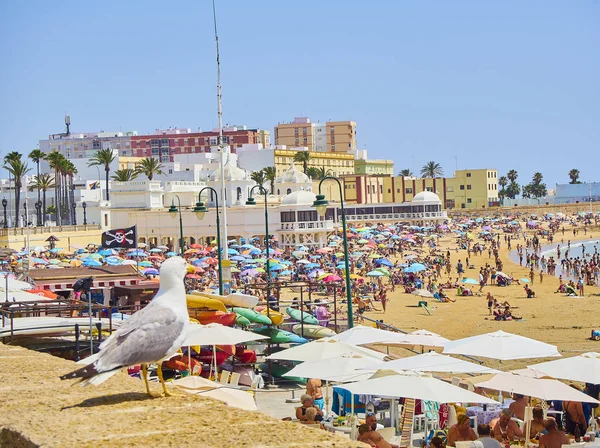 Playa de La Caleta. Vista desde la avenida Duque de Najera. Cádiz. Andalucía, España . — Foto de Stock