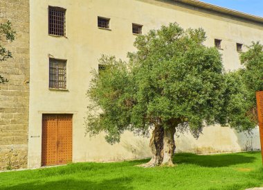 El Puerto de Santa Mar Hapishanesi. El Puerto de Santa Mari