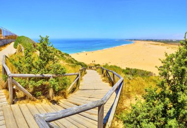 Cabo de Trafalgar Plajı. Barbate, İspanya.