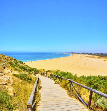 Cabo de Trafalgar Plajı. Barbate, İspanya.