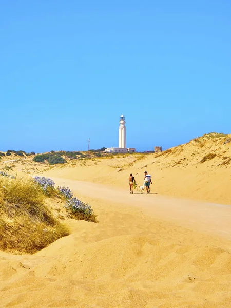 Cabo de Trafalgar Cape Natural Park avec le célèbre phare en arrière-plan. Barbate, Espagne . — Photo