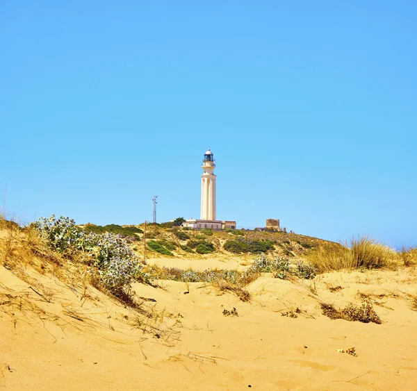 Cabo de Trafalgar Cape Natural Park met de beroemde vuurtoren op de achtergrond. Barbate, Spanje. — Stockfoto