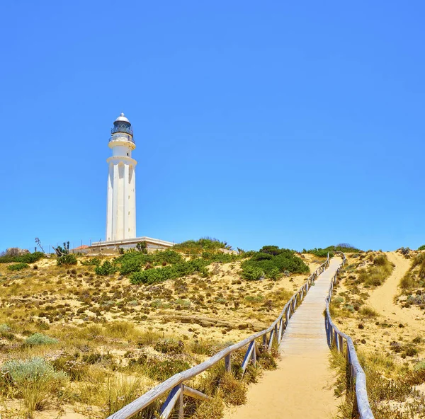 Natuur Park Cabo de Trafalgar Cape. Barbate, Spanje. — Stockfoto