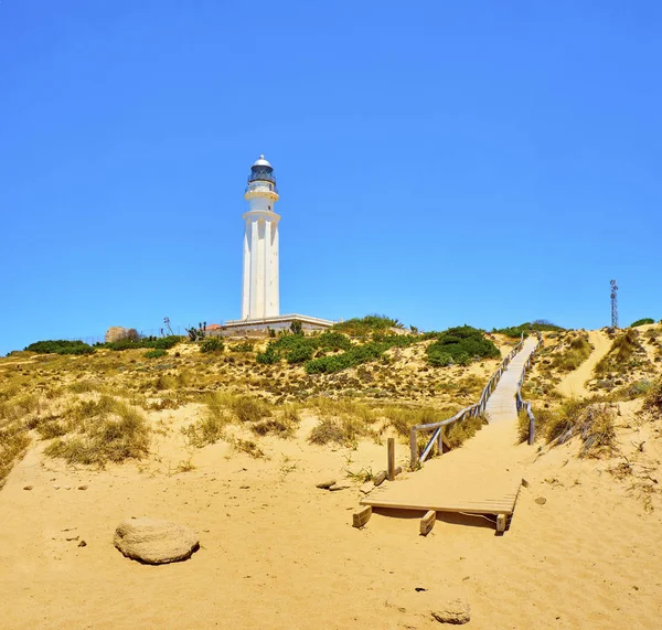 Natuur Park Cabo de Trafalgar Cape. Barbate, Spanje. — Stockfoto