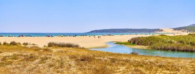 Playa de Bolonia Plajı. Tarifa, Cadiz, Endülüs, İspanya.