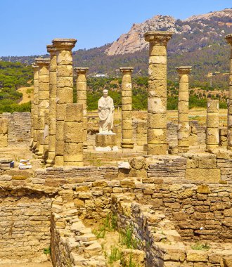 Baelo Claudia Arkeoloji Künyesi. Tarifa, Cadiz, Endülüs, İspanya.