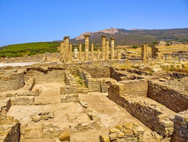 Baelo Claudia Arkeoloji Künyesi. Tarifa, Cadiz, Endülüs, İspanya.
