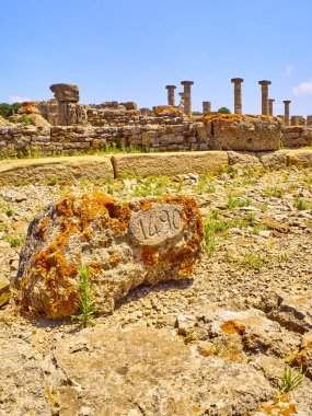 Baelo Claudia Arkeoloji Künyesi. Tarifa, Cadiz, Endülüs, İspanya.