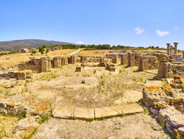 Baelo Claudia Arkeoloji Künyesi. Tarifa, Cadiz, Endülüs, İspanya.