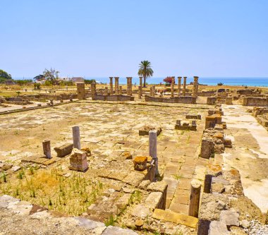 Baelo Claudia Arkeoloji Künyesi. Tarifa, Cadiz, Endülüs, İspanya.