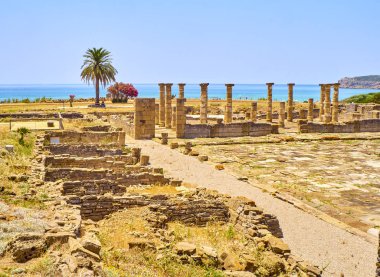 Baelo Claudia Arkeoloji Künyesi. Tarifa, Cadiz, Endülüs, İspanya.