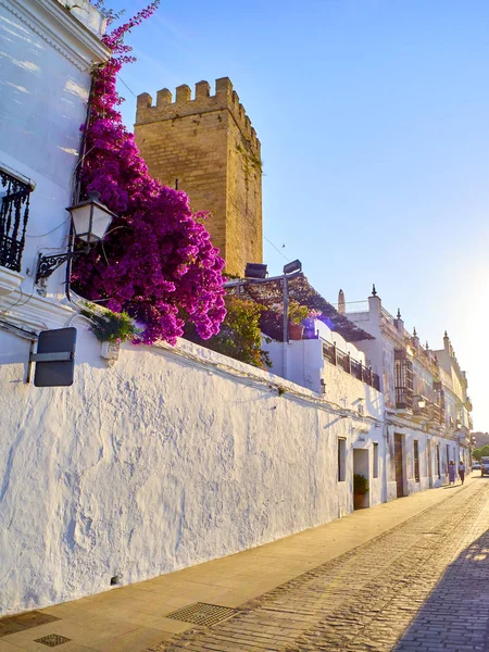 Vejer de la Frontera downtown. Cadiz province, Andalusia, Spain. — Stock Photo, Image