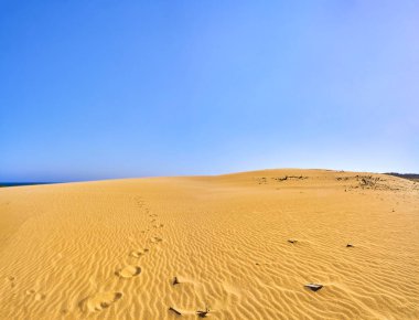 Valdevaqueros Dune. El Estrecho Doğal Parkı. Tarifa, Cadiz, İspanya.