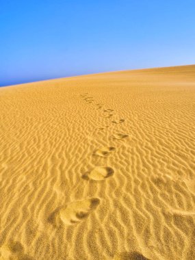 Valdevaqueros Dune. El Estrecho Doğal Parkı. Tarifa, Cadiz, İspanya.