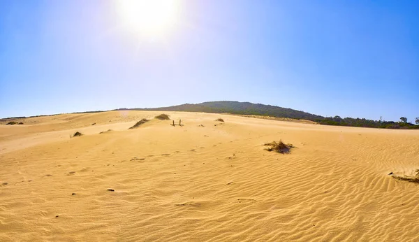 Valdevaqueros Dune. El Estrecho Doğal Parkı. Tarifa, Cadiz. Endülüs, İspanya.