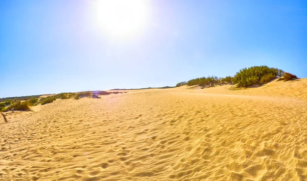 Valdevaqueros Dune. Parque Natural El Estrecho. Tarifa, Cádiz, Espanha . — Fotografia de Stock