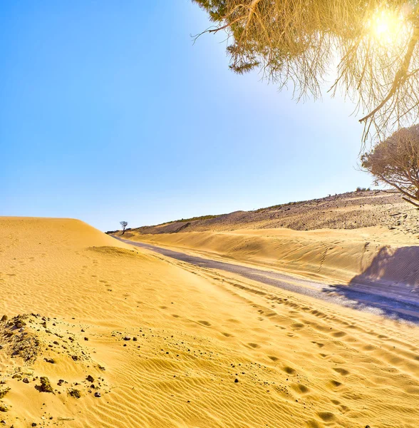 Une route traversant un terrain de dunes arides . — Photo