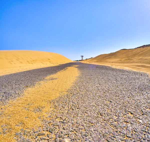 Une route traversant un terrain de dunes arides . — Photo