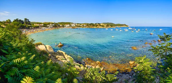 La cala de la Fosca. Palamos, Girona, Cataluña, España . — Foto de Stock