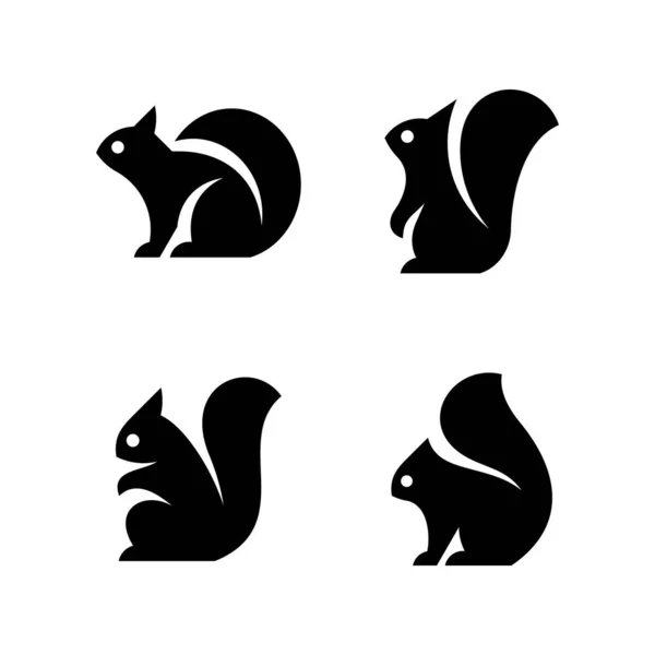 Eichhörnchen Logo Symboldesign Vorlagenelemente — Stockvektor