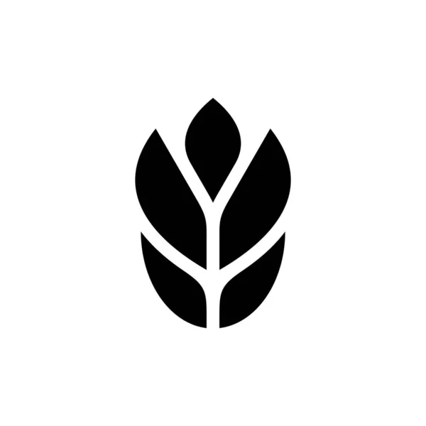 Logotipo Trigo Design Ícones Elementos Modelo — Vetor de Stock