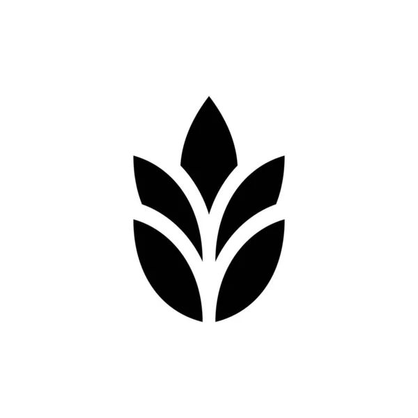 Logotipo Trigo Design Ícones Elementos Modelo — Vetor de Stock