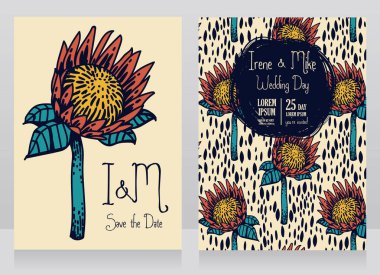 iki kart protea çiçekler, vektör çizim kroki tarzı ile dekore edilmiş