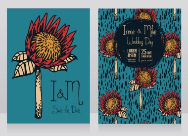 iki kart protea çiçekler, vektör çizim kroki tarzı ile dekore edilmiş