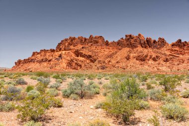 Ateş Vadisi State Park Nevada Abd