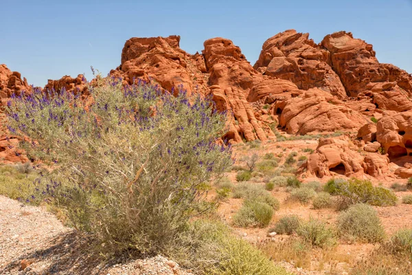 Dolina ognia Park stanu Nevada USA — Zdjęcie stockowe